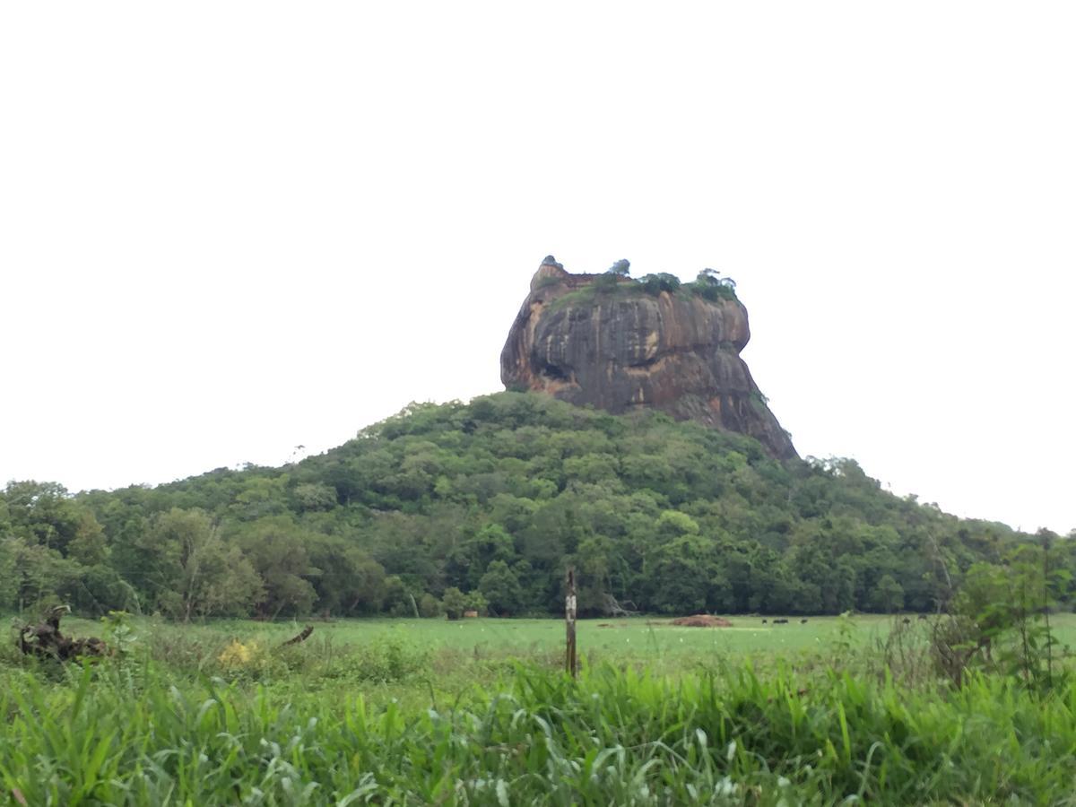 Sun Ceylon -Habarana Kibissa Exterior foto