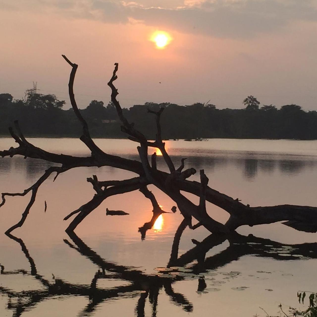 Sun Ceylon -Habarana Kibissa Exterior foto